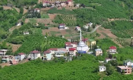 Akçaabat Fındıklı Köyü Mayer Canlı İzle