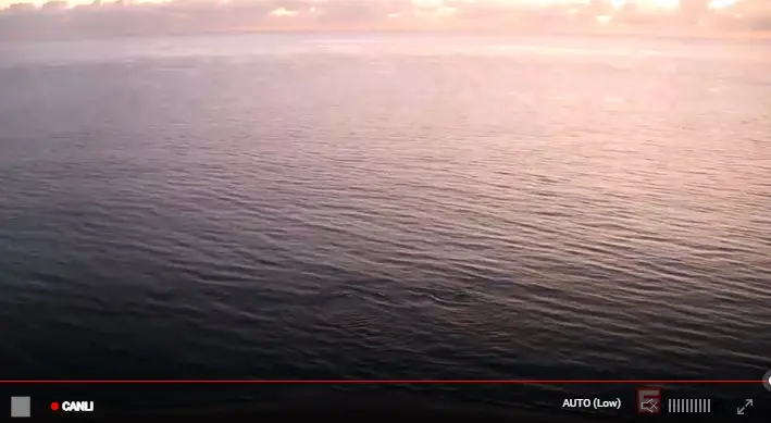 Amerika Florida Fort Plajı Canlı Mobese İzle