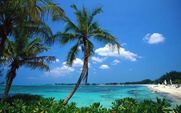 Bahama Abaco Plajı Canlı İzle