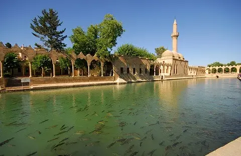 Şanlıurfa Balıklıgöl Canlı Kamera İzle