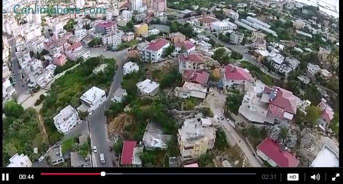 Havadan anamur