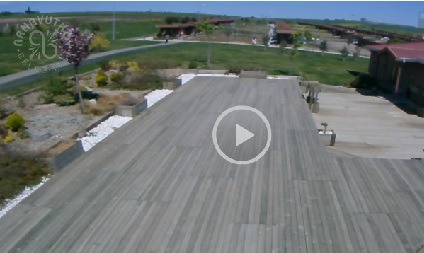 İstanbul Hobi Bahçesi Canlı Kamera İzle