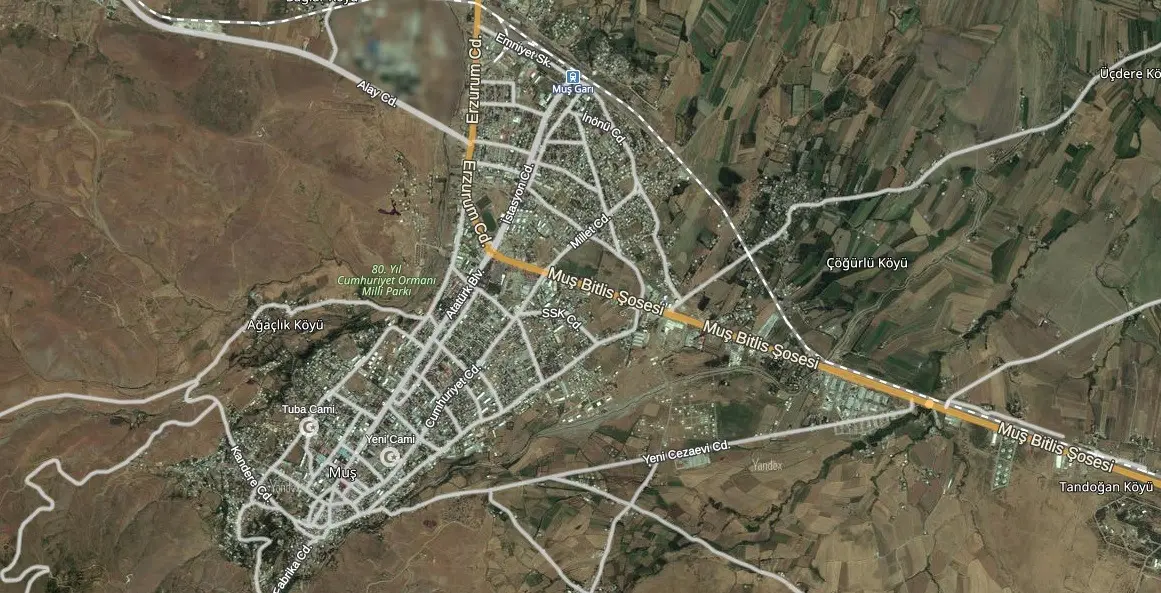 Muş Uydu Görüntüsü Haritası