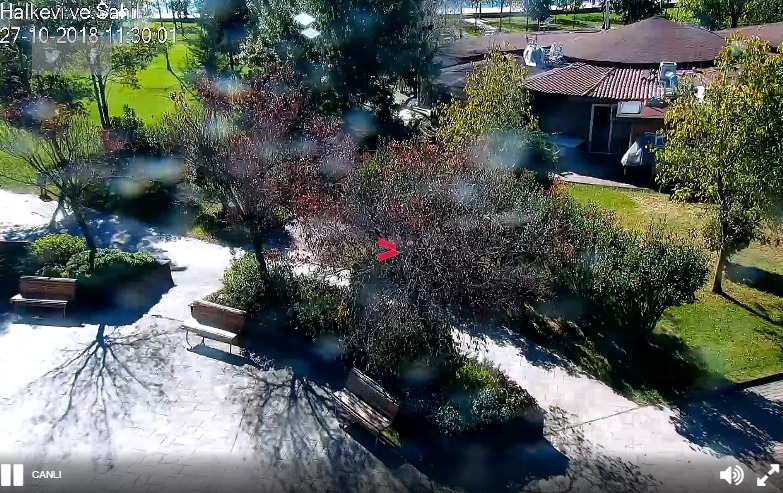 Kocaeli Halk Evi Sahil Canlı Mobese Kameraları İzle