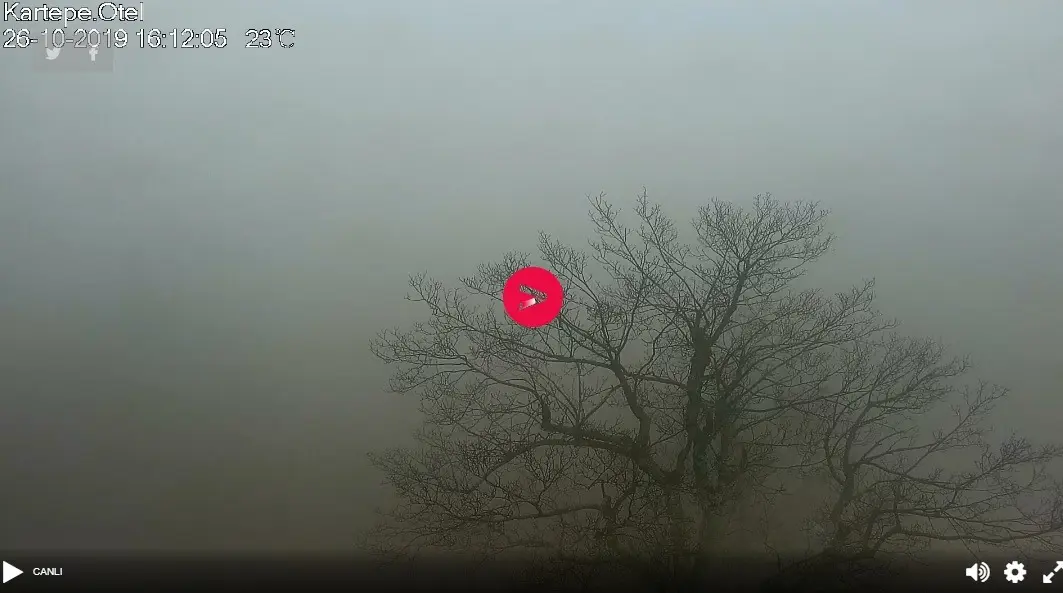 Kocaeli Kartepe Canlı Mobese İzle