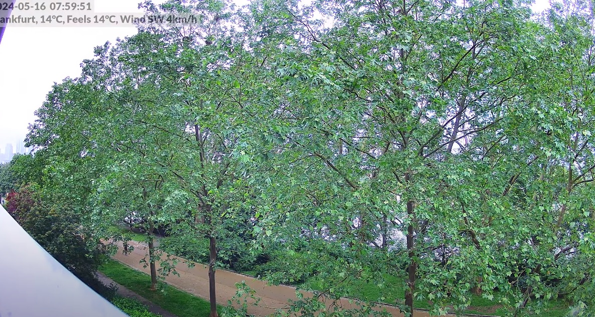 Almanya Frankfurt Canlı Mobese İzle