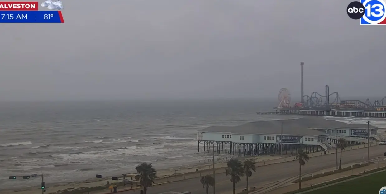 Galveston Texas Plajı Canlı Mobese