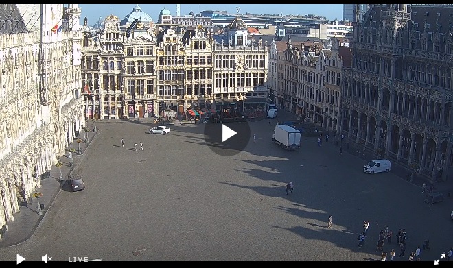 Belçika Grand Place Meydanı Canlı