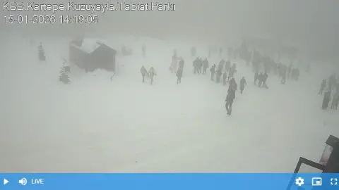 Kocaeli Kuzuyayla Tabiat Parkı Canlı Mobese