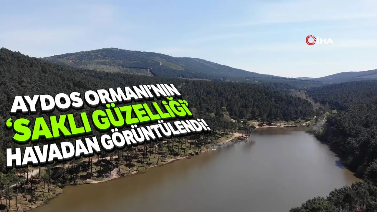 İstanbul Kartal Aydos Ormanı Havadan Kamera Görüntüleri İzle