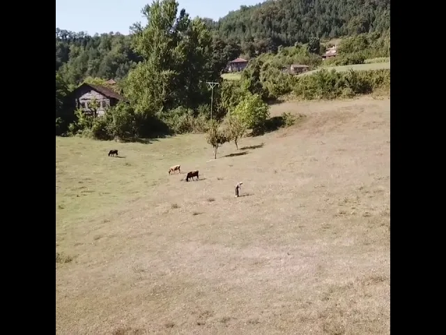 Kastamonu Çatalzeytin Sirakonak Köyü Yazıcıoğlu Mahallesi Havadan Kamera Görüntüleri İzle