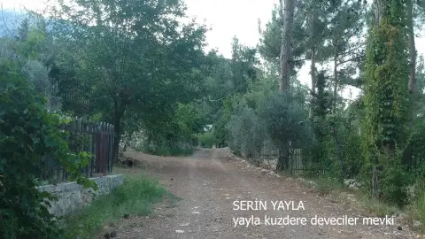 Kuzdere Yaylası Havadan Kamera Görüntüleri İzle
