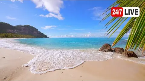 North Island Plajı Canlı Mobese İzle
