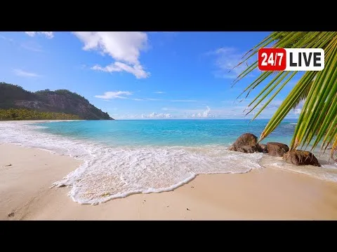 North Island Plajı Canlı Mobese İzle